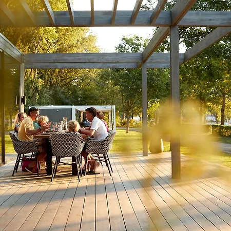 Holiday home Forest Cube 2 Persons #710 2 Persoons Maasbree